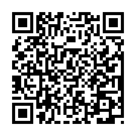QR code for ZL35007