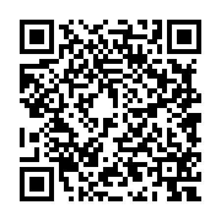 QR code for ZL48163