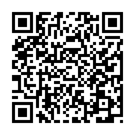 QR code for ZL52919