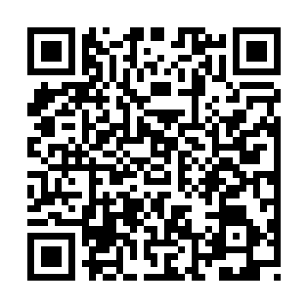 QR code for ZL60969