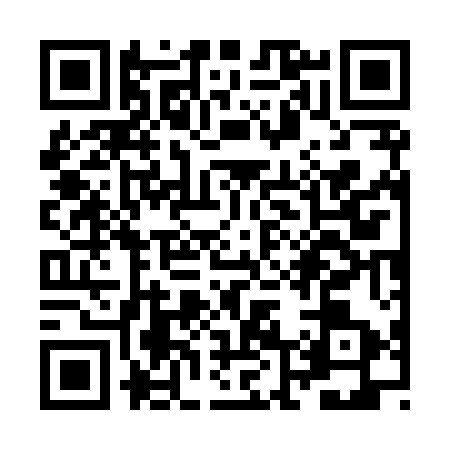 QR code for ZL78533