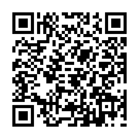 QR code for ZL82691