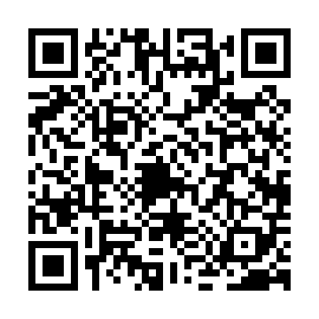 QR code for ZM00095