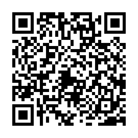 QR code for ZM00333