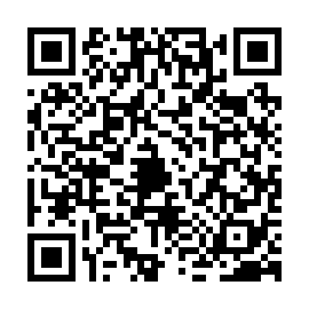 QR code for ZM12787