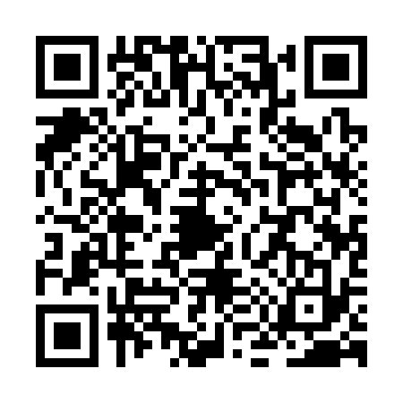 QR code for ZM13334