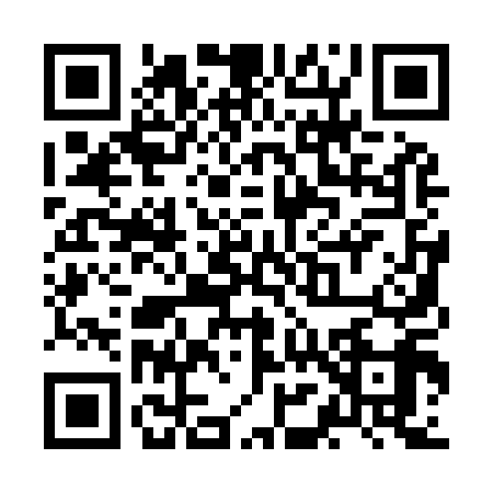 QR code for ZM19198