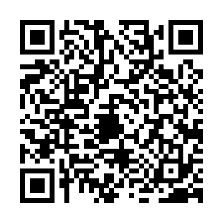 QR code for ZM41338