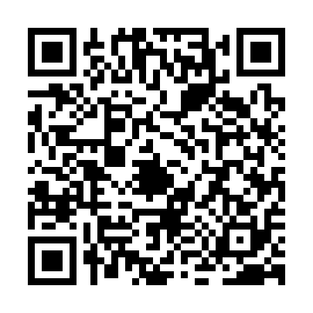 QR code for ZM53104