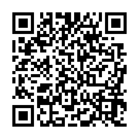 QR code for ZM87920