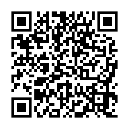 QR code for ZM88705