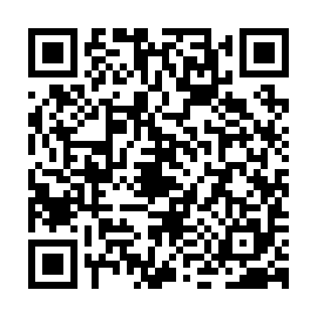 QR code for ZM92952
