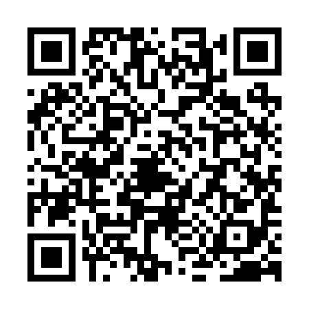 QR code for ZM92980