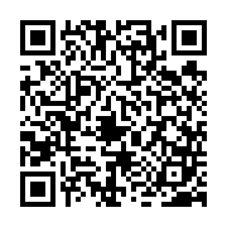 QR code for ZM96424