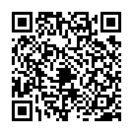 QR code for ZM96786
