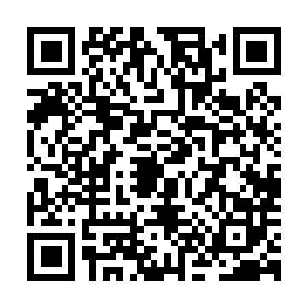 QR code for ZN00828
