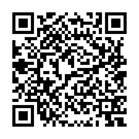 QR code for ZN09726