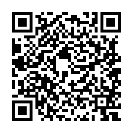 QR code for ZN28831