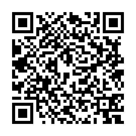 QR code for ZN38303
