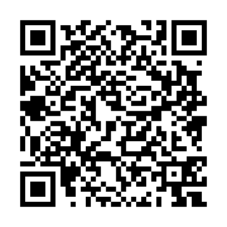 QR code for ZN80307