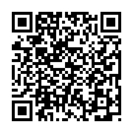 QR code for ZN95294