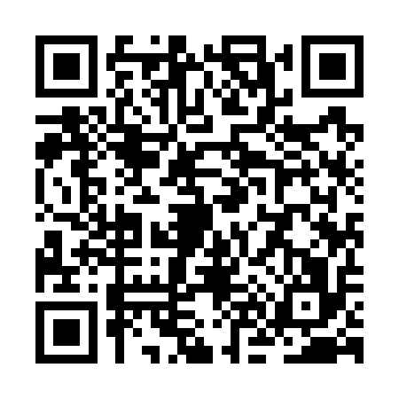 QR code for ZN97161