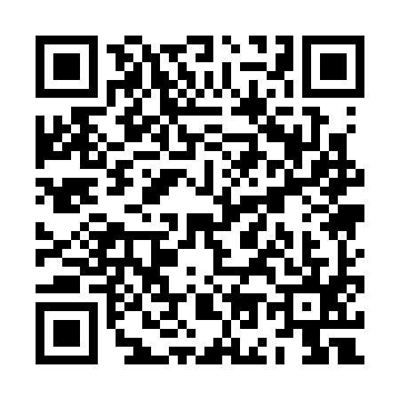 QR code for ZO13955