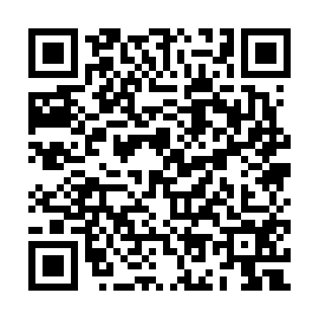 QR code for ZO16545