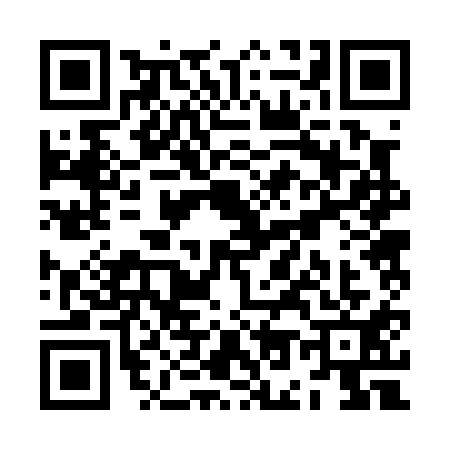 QR code for ZO20111