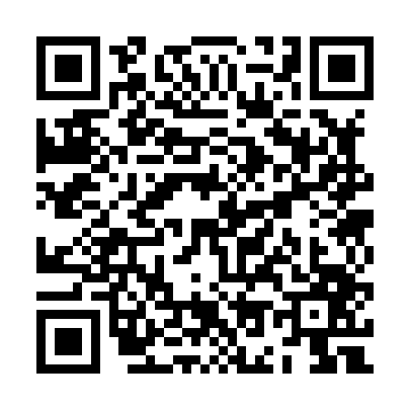 QR code for ZO38476