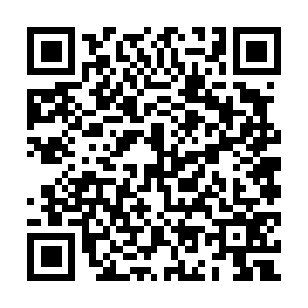 QR code for ZO64763