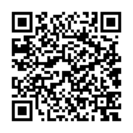 QR code for ZO65390