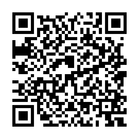 QR code for ZO81416