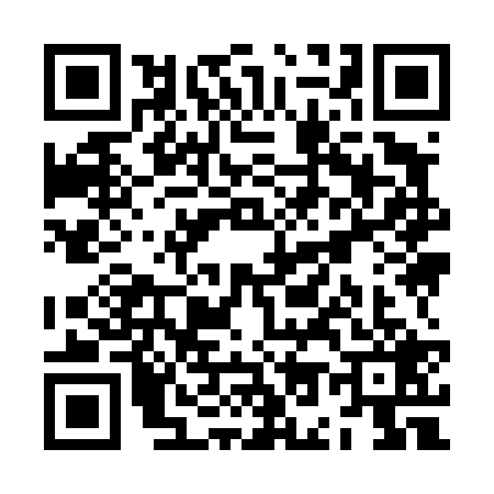 QR code for ZO94293