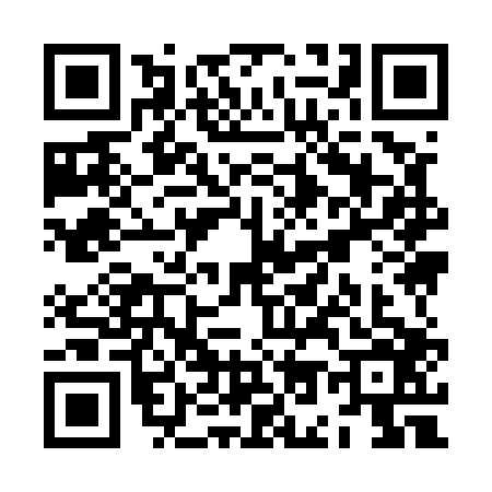 QR code for ZO95062