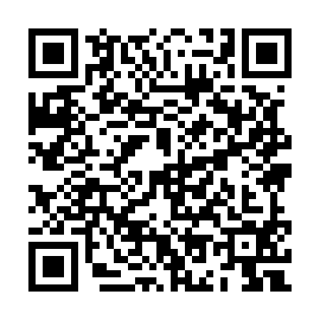 QR code for ZO95946