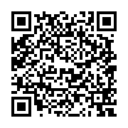 QR code for ZP04994
