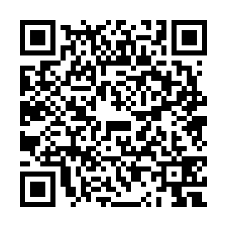 QR code for ZP06391