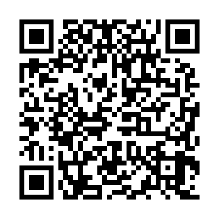 QR code for ZP09894