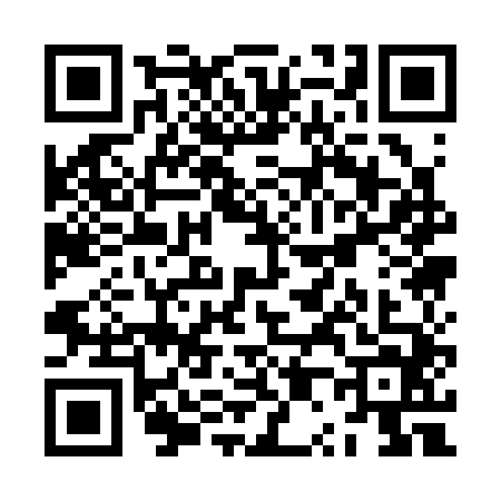 QR code for ZP13442