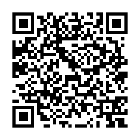 QR code for ZP16300