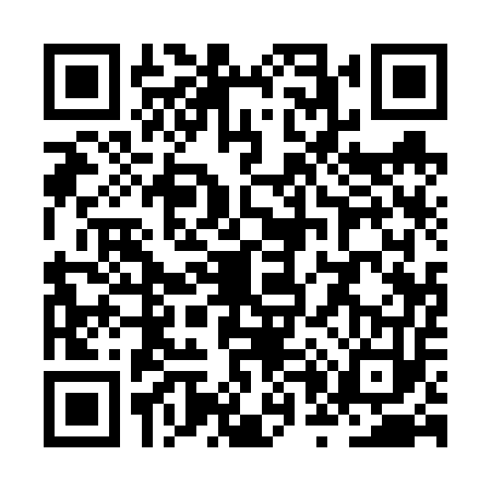 QR code for ZP16539