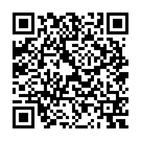 QR code for ZP16609