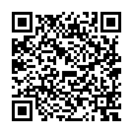 QR code for ZP19993