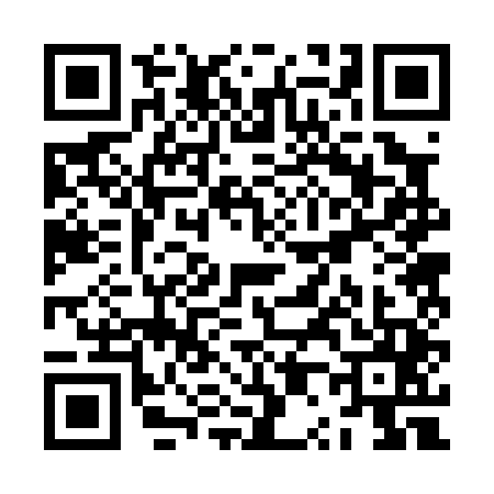 QR code for ZP20453