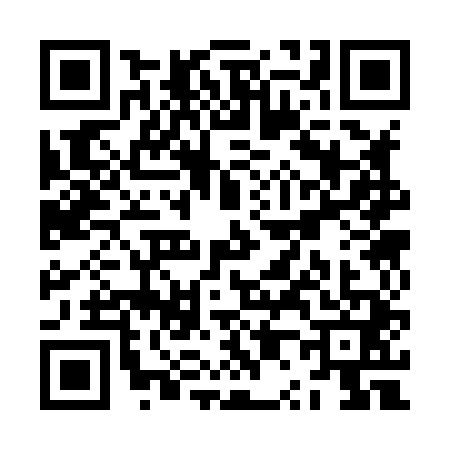 QR code for ZP38418