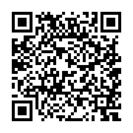 QR code for ZP79828