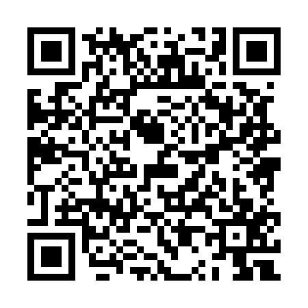 QR code for ZP85176