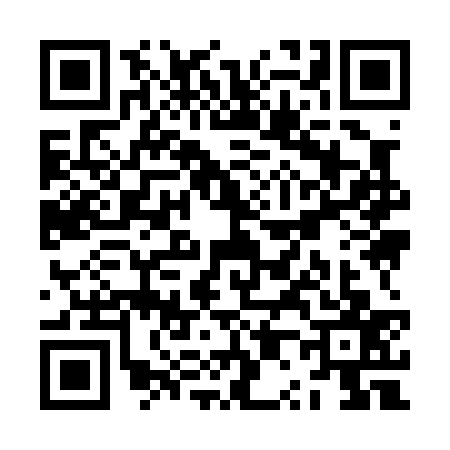 QR code for ZP90370