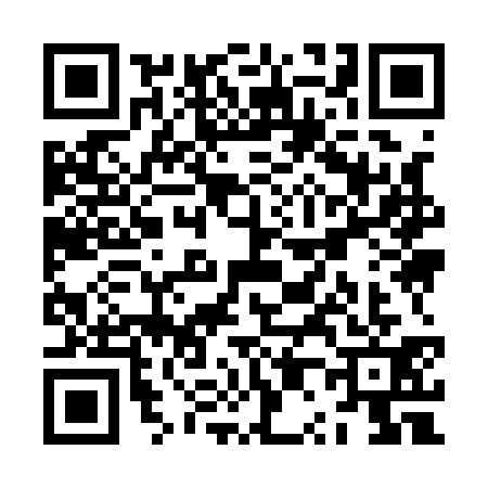 QR code for ZP91314